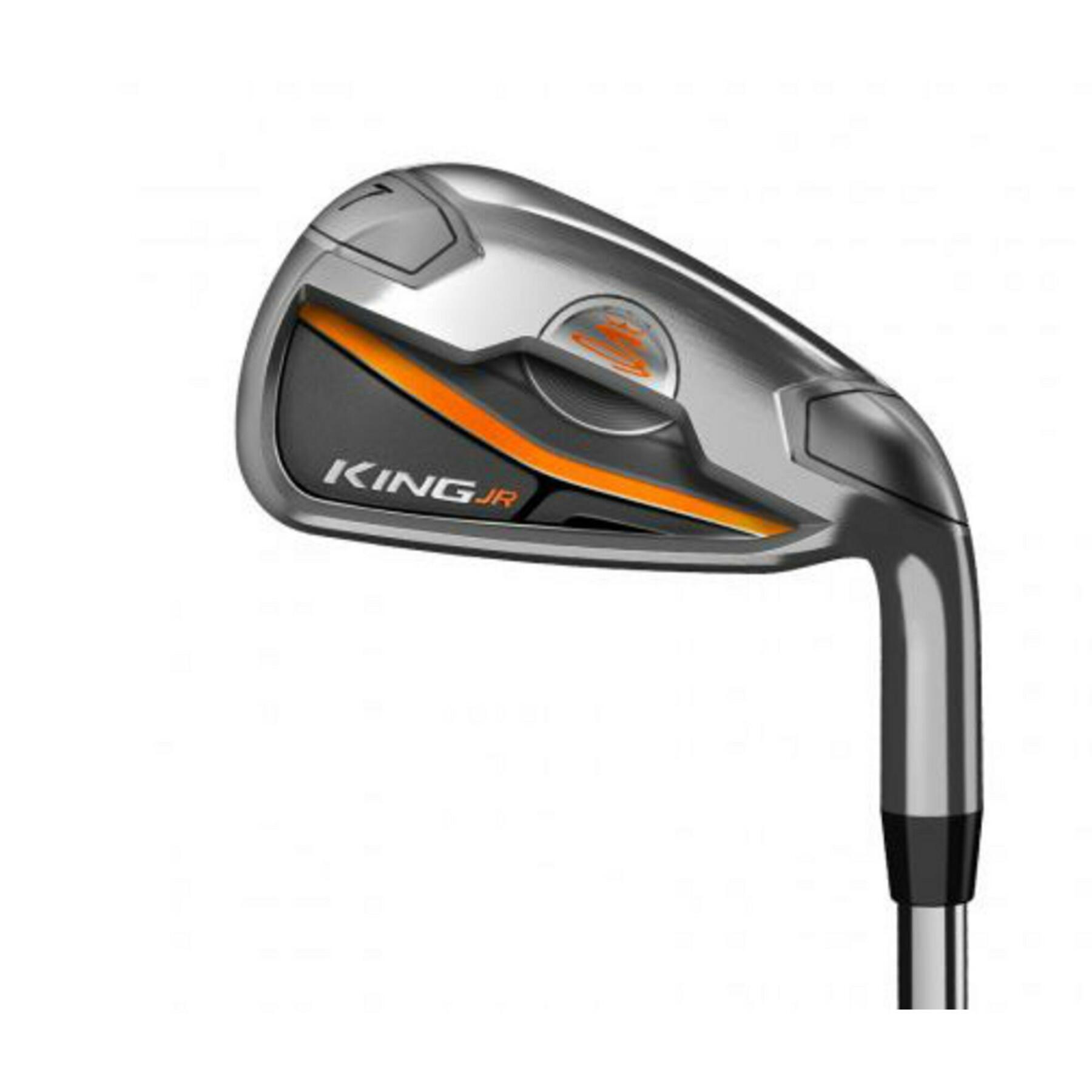 product/c/o/cobra_912813-31_4.jpg