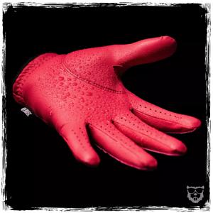 product/b/e/beaver-golf_bv-gl-sr-f-r_sunset-red_2.jpg