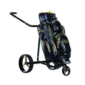 product/j/u/jucad_carbon_travel_special_2.0_jct2-sp_jucad_bag_aquastop_black-gold_jba-srgo_1.jpg