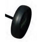 product/p/i/piguy-golf_leg4101012_noir_2.jpg